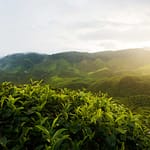 How Many Airports Are There in Assam: A Comprehensive Guide to Aviation Infrastructure in Northeast India